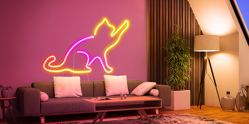 neon rope lights