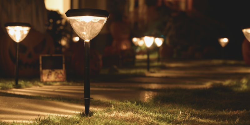 best solar pathway lights