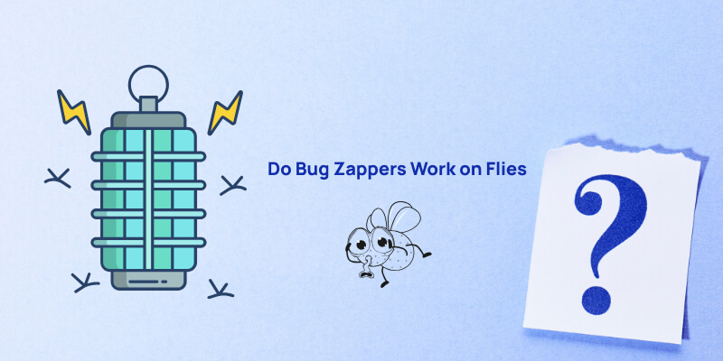 bug zappers work on flies
