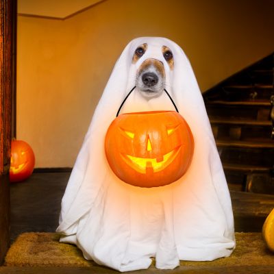 diy halloween decor ghost figures