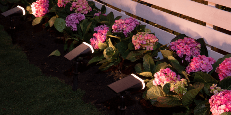 flower bed brilliance