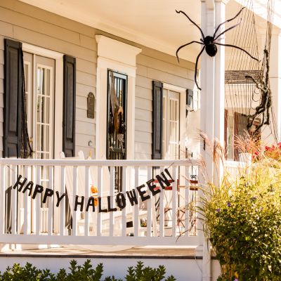 halloween décor spider web