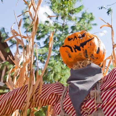 halloween décor spooky scarecrow