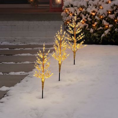 members mark crystal bead pathway lights
