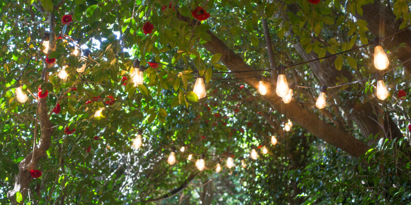 outdoor string lights