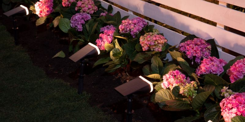 solar garden lights