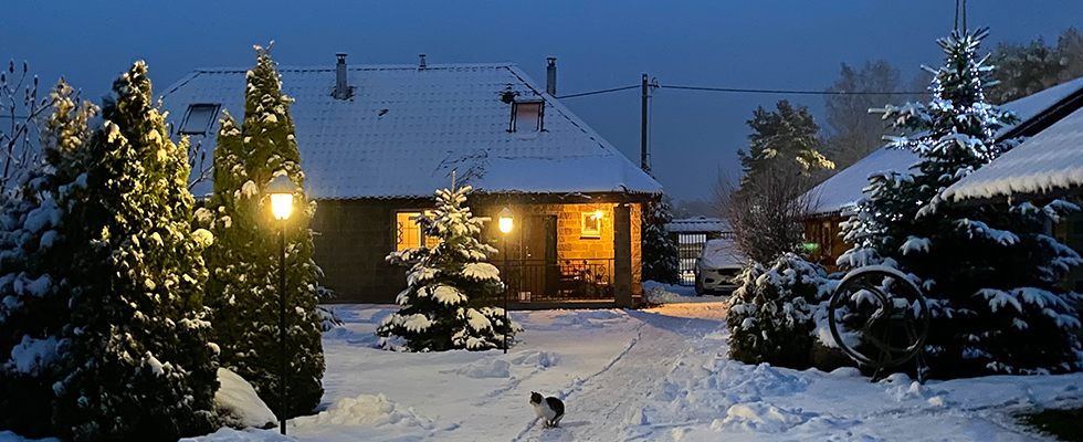 outdoor christmas lights