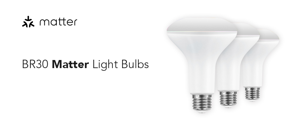 BR30 matter light bulbs