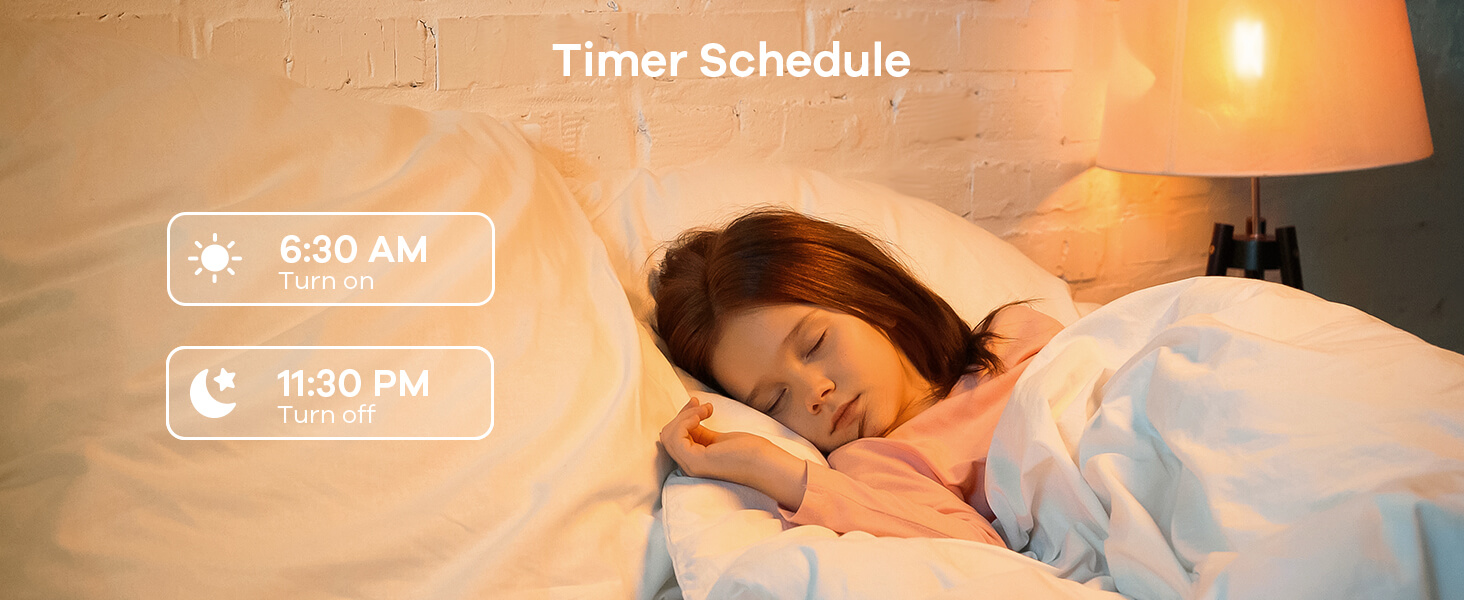 timer schedule
