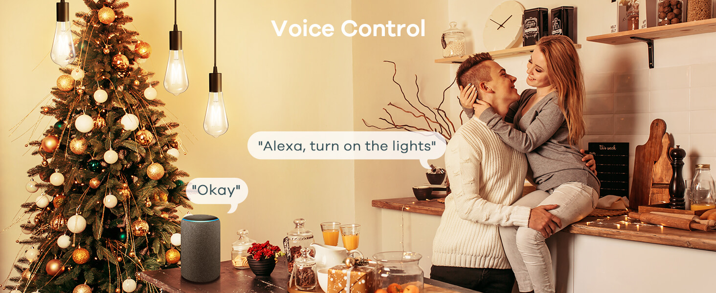 voice control