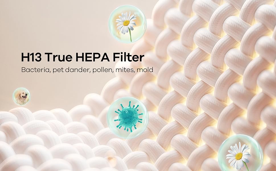 H13 True HEPA Filter