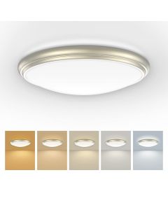 OREiN 12 inch 5 LED Ceiling Light for Luandry Room Hallway Bedroom Kitchen - Color Temperatures In One