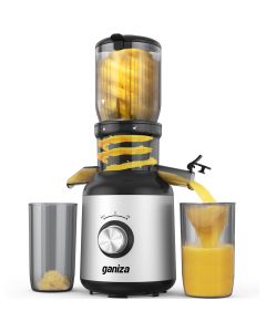Ganiza Juicer Machines, Cold Press Juicer with Large Feed Chute for Whole Fruits & Vegetables, Slow Masticating juicers with 3 Replace Filters for Batch Juicing, Easy to Clean, BPA Free(Silver)