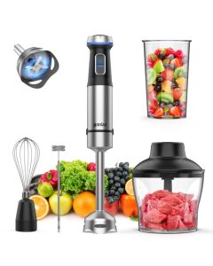 Ganiza 800W Immersion Blender with 15-Speed Control and Turbo Mode