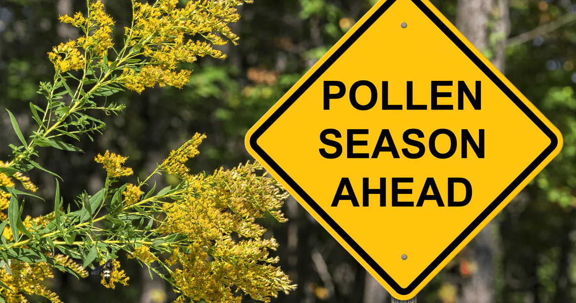 How To Spend The Spring Allergy Season Easily?