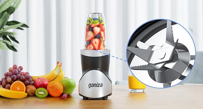 Ganiza 15-in-1 Smoothie Blender, 4 BPA-Free Cup